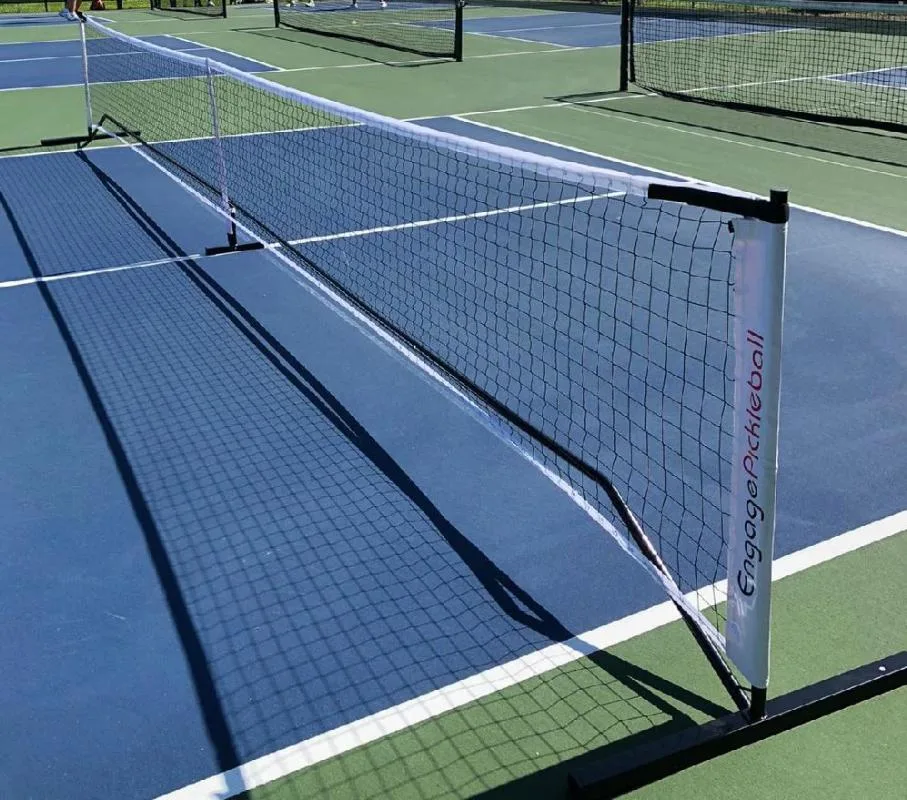 Portable Net System