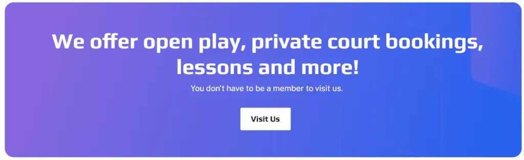 Pickleland.com website homepage banner