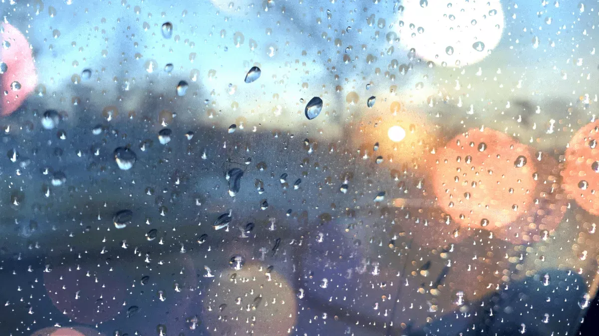 What To Do On A Rainy Day